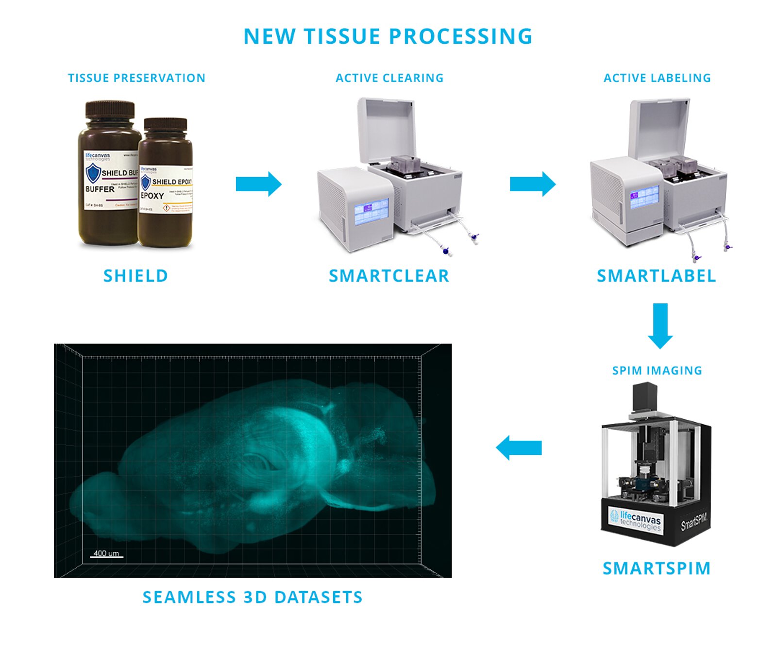 Tissue Processing in the 21st Century How Can I Incorporate Innovative